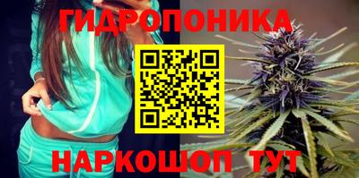 винт Тара